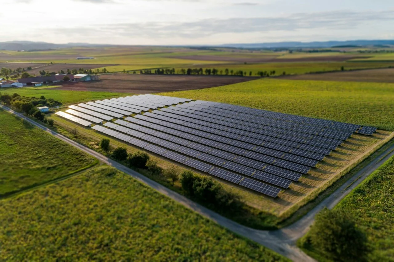 Ecological study as part of an agrivoltaics project by Notus energy