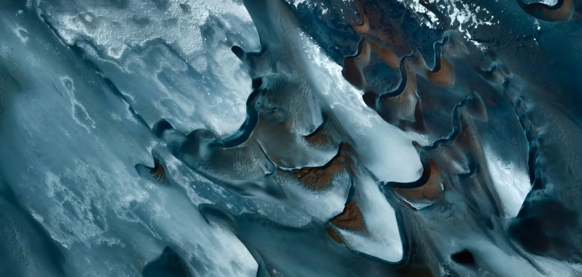Abstract close view of a living surface