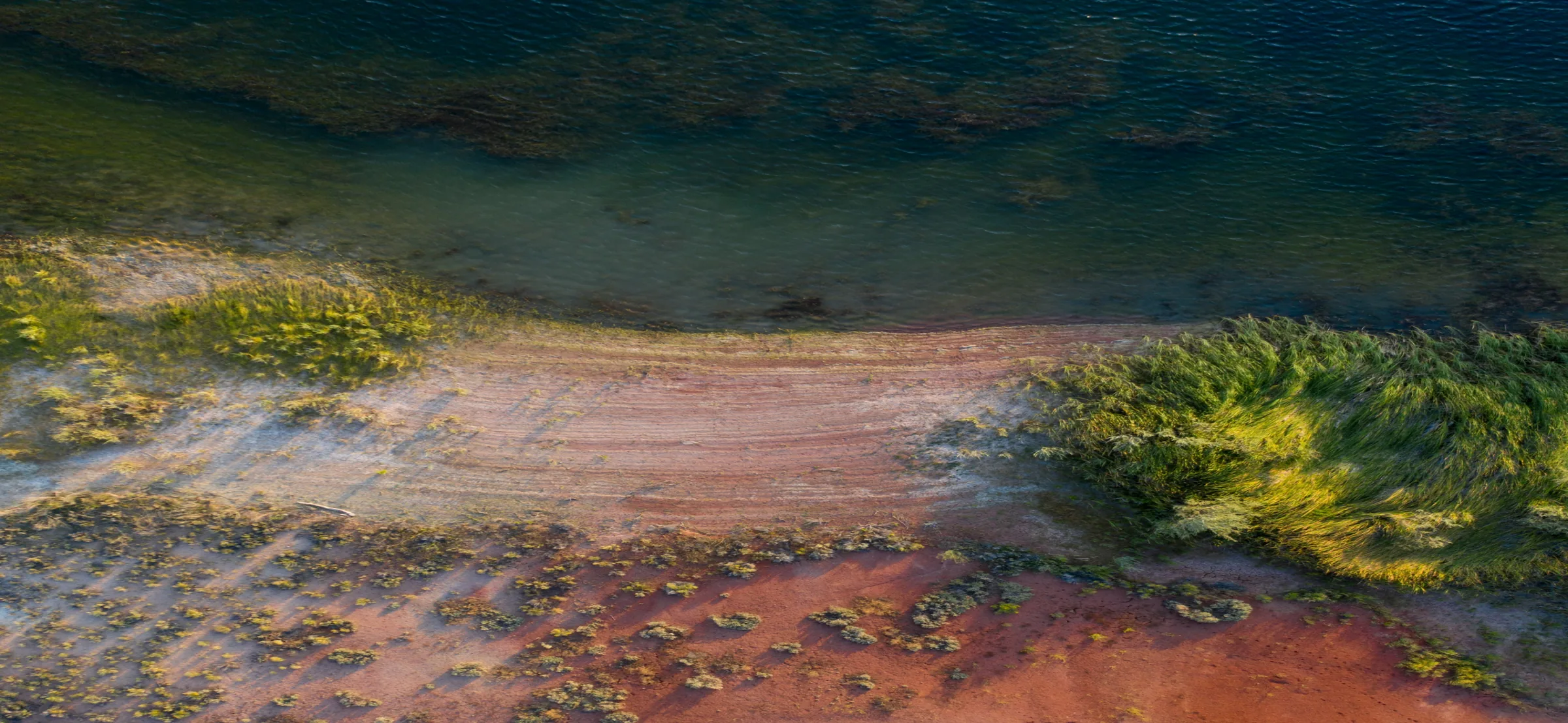 River wetland seen from above