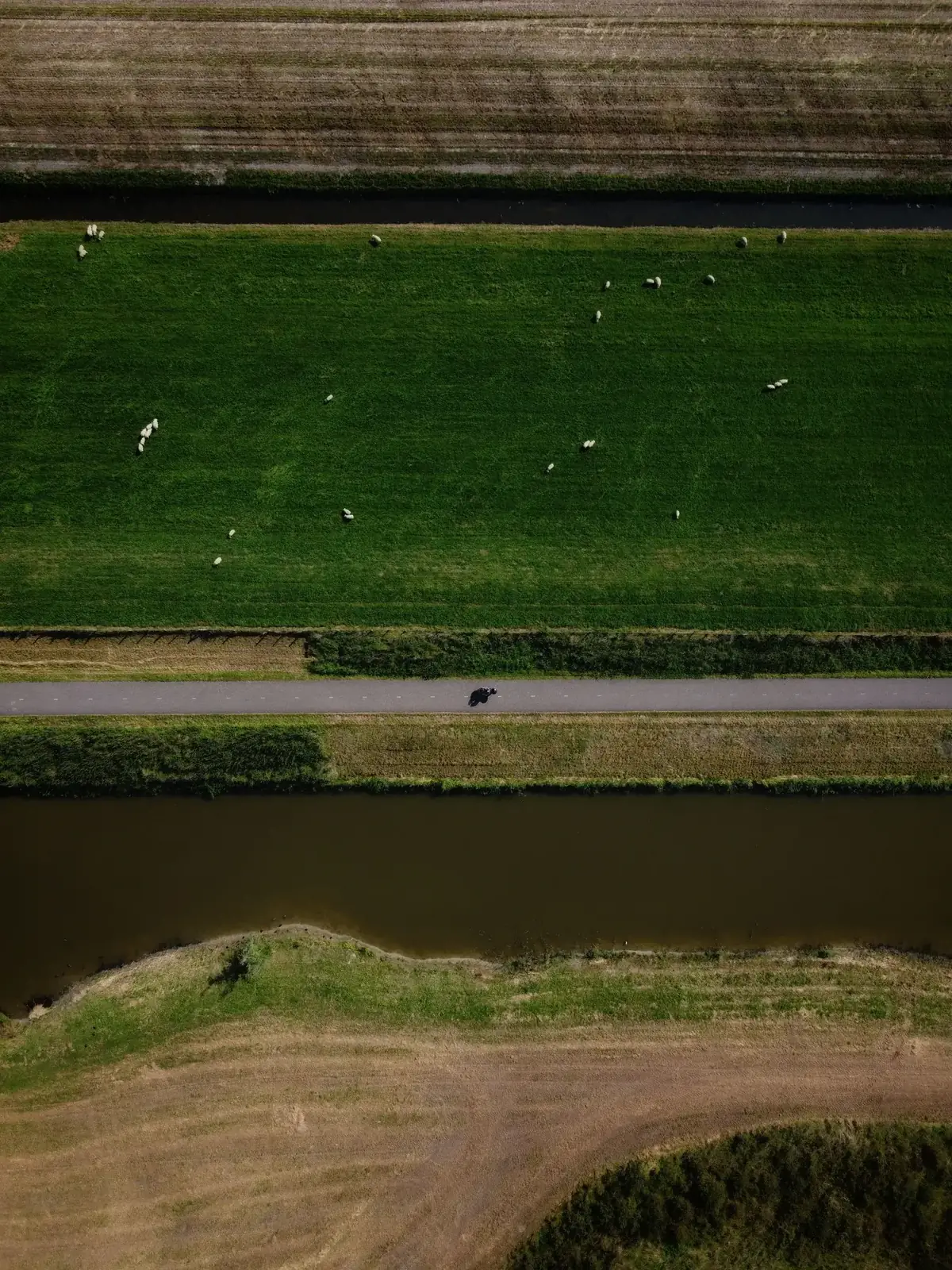 Aerial view of managed fields cut by a canal and a road