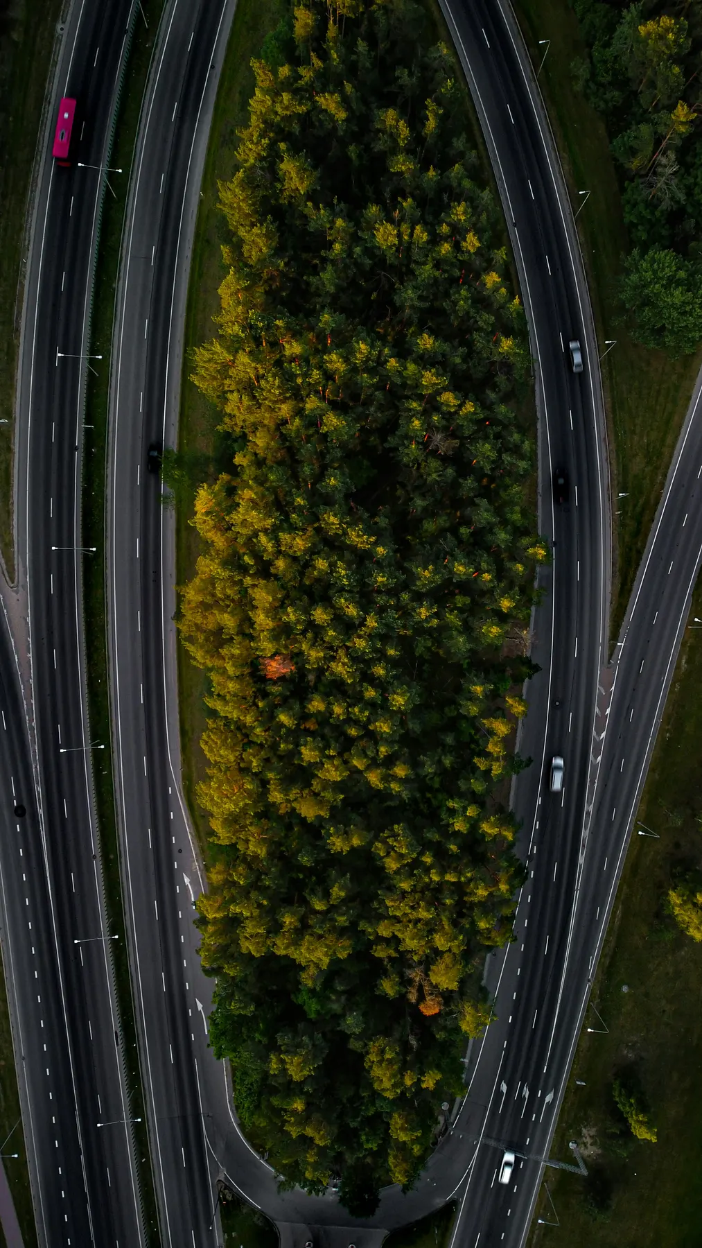 Aerial view of a road through a forest