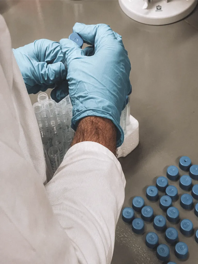Sample preparation in the E-BIOM laboratory