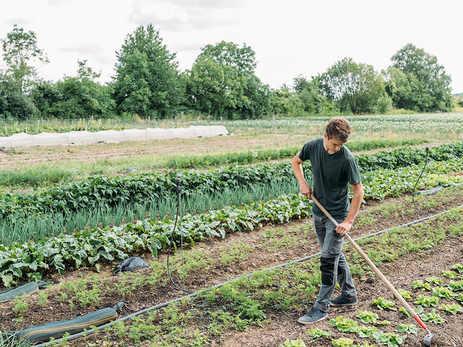 Soil sampling for the agroecology biodiversity study