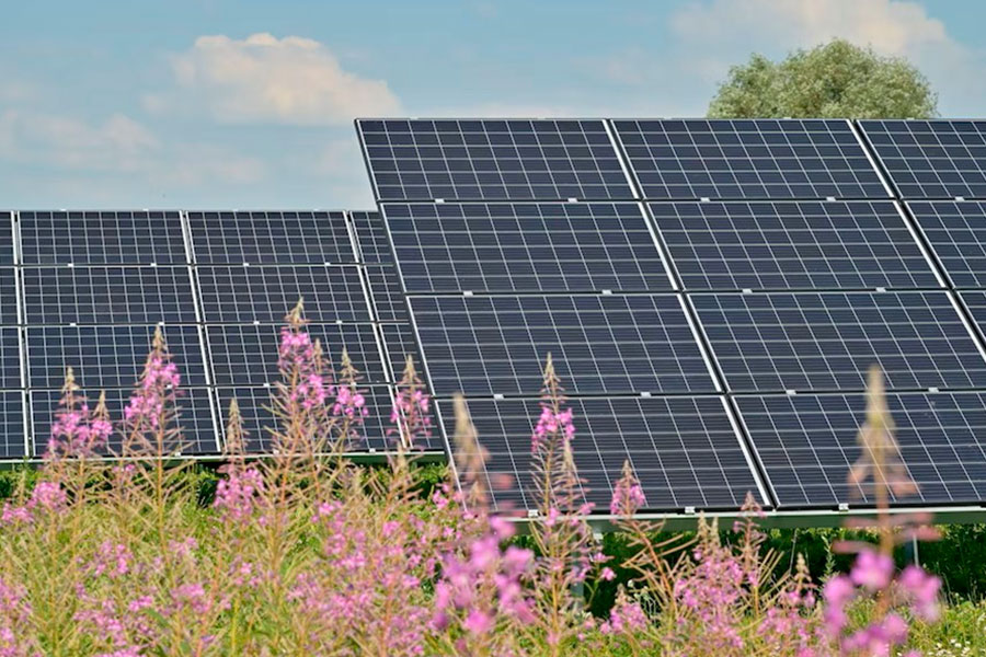 Panneaux solaires sur le site du projet d’énergie renouvelable