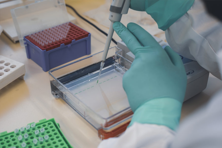 Laboratoire E-BIOM, photo 2