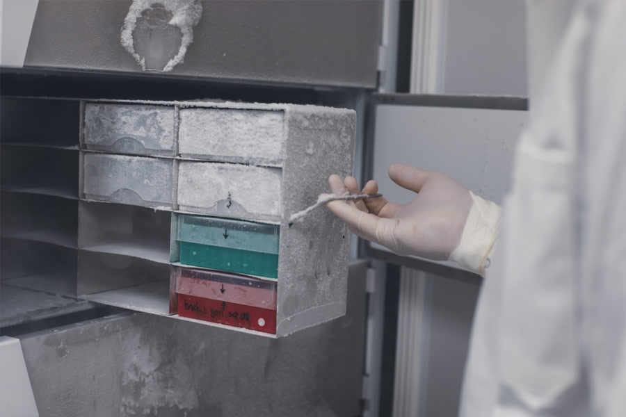 Laboratoire E-BIOM, photo 4